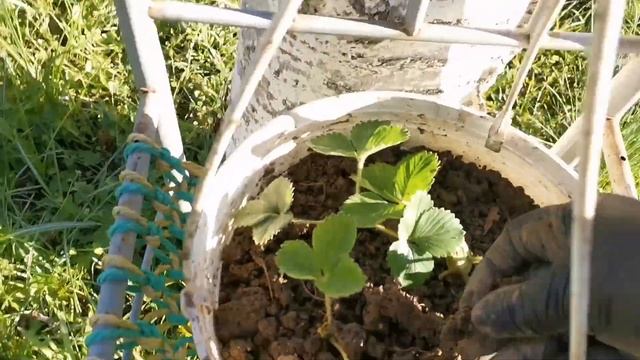 День рождения🎂. / И опять на дачу.🏡 смотреть онлайн