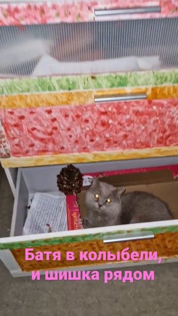 Батя, колыбель, куклы и шишка. смотреть онлайн
