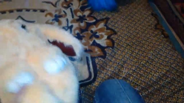 Зайчики, комета,Мипы и сова - мои мягкие игрушки смотреть онлайн