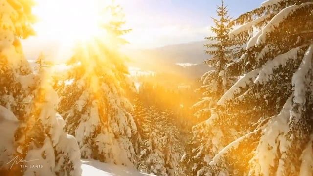 Beautiful Relaxing Hymns, Peaceful Instrumental Music, Songbird Morning Sunrise