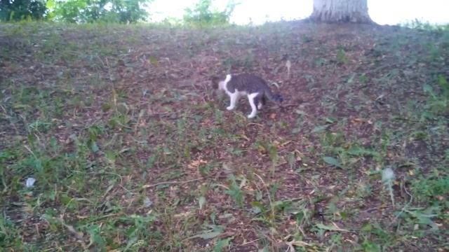 все закончилось хорошо