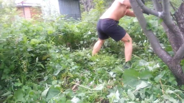 Блендер СЫРОЕД косит траву😁