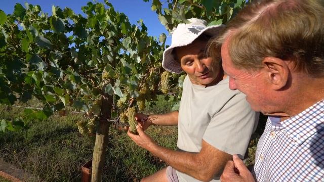 Travel Oz S06E04 Southern Aurora смотреть онлайн