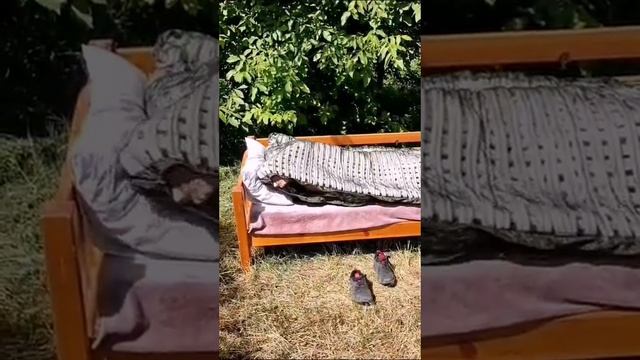 Спальный мешок летний, дышащий. смотреть онлайн