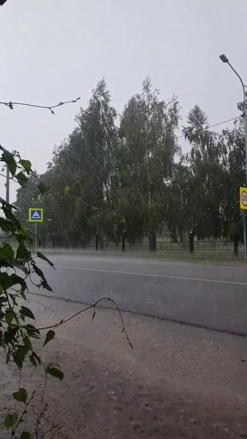 Кавер на песню гр. Звери - Дожди-пистолеты смотреть онлайн
