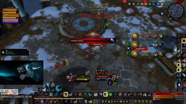 WFeral vs RMD(Мухомор)