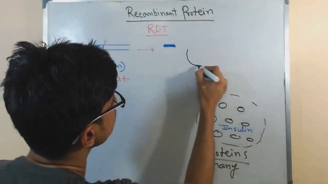 Recombinant protein смотреть онлайн