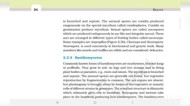 BIOLOGICAL CLASSIFICATION, CLASS 11 BIOLOGY #LECTURE 5: Classes Of Kingdom Fungi.
