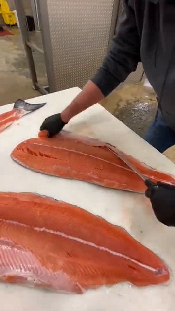 Fresh Troll Caught King Salmon. смотреть онлайн