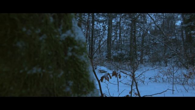 Blackmagic Cinema Camera 2.5k - Winter 2016 смотреть онлайн