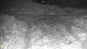 Цифровой прицел ночного видения Arken Zulus HD 5-20R | часть 2 - НОЧЬ | Леший 2