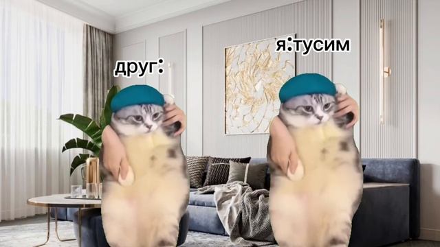 кошачья жизнь (6 часть) смотреть онлайн