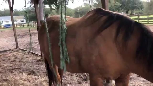 Recycled Hay Baling Twine Ideas!