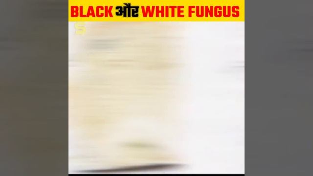 क्या है Black और White Fungus  | Mucormycosis | White Fugus #shorts
