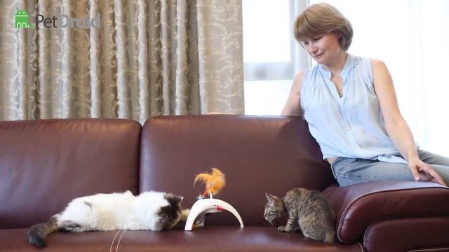 Gigwi Cat Interactive Toy Feather Electronic Tripod смотреть онлайн