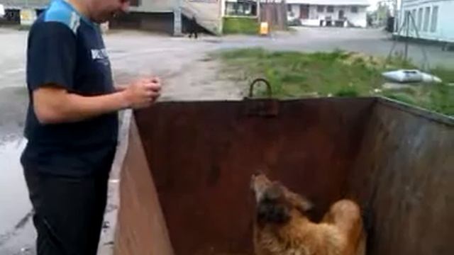 Спасатель