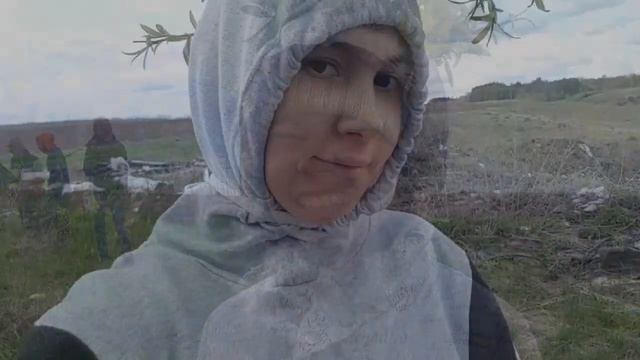 поход за грибами 🍄 смотреть онлайн