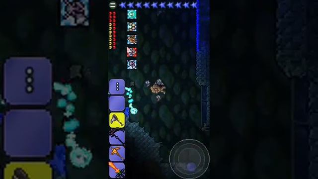 Terraria Truffle Worm Farm! 4 In First Minute!