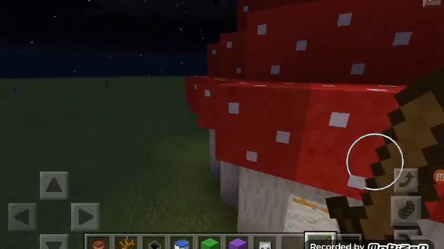 Дом-мухомор.