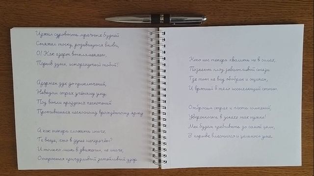 Стихотворение 2023/ Азарт / Author's poems/ Excitement смотреть онлайн