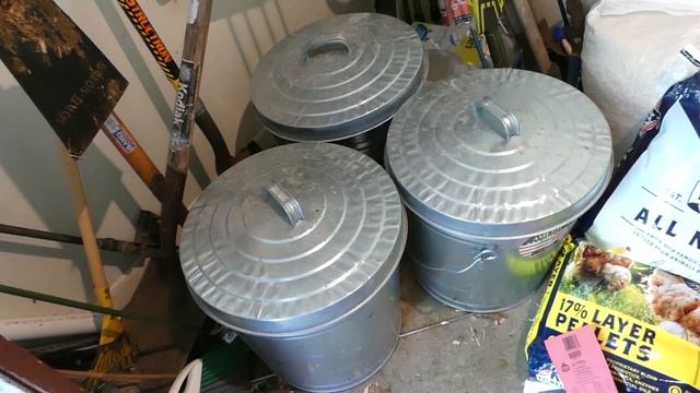 Raising Backyard Chickens 5: FEED & WATER REQUIREMENTS