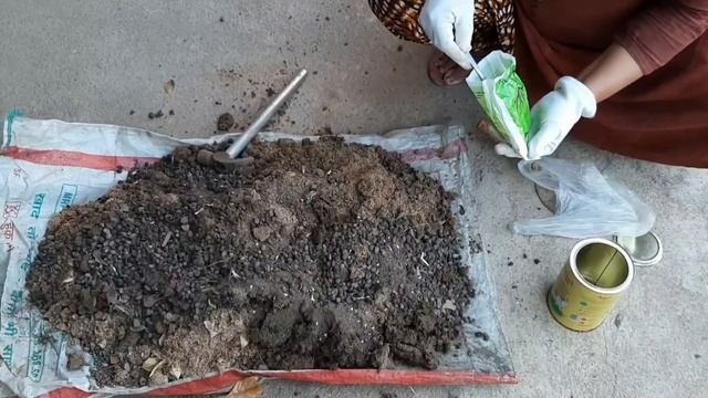How To use Tricoderma viride смотреть онлайн