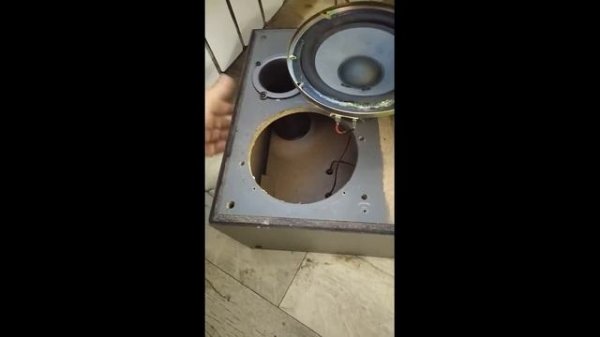Ремонт Динамика Хрип Ремонт мембраны динамика