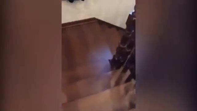 Үйүнөн 50 миң долларлык 25 алтын саат табылган бажы жетекчисинин хан сарайы смотреть онлайн