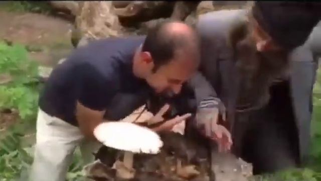 ЭТО МОЙ ГРИБ! Я ЕГО ЕМ!!! мем оригинал смотреть онлайн