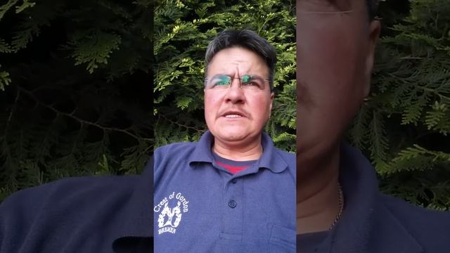 Nebenwirkungen durch Testosteron , Leroy смотреть онлайн