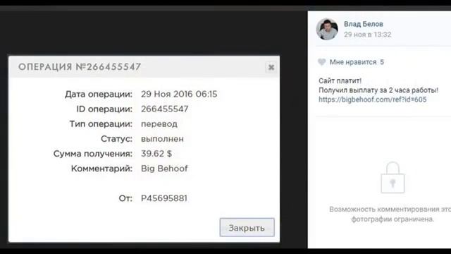 Big Behoof Отзывы и выплаты участников проекта смотреть онлайн