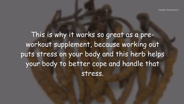 Natural Body Fat Burners & Energy Boosters, But Don't Try this Supplements смотреть онлайн