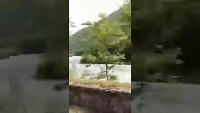 За медом в Абхазию