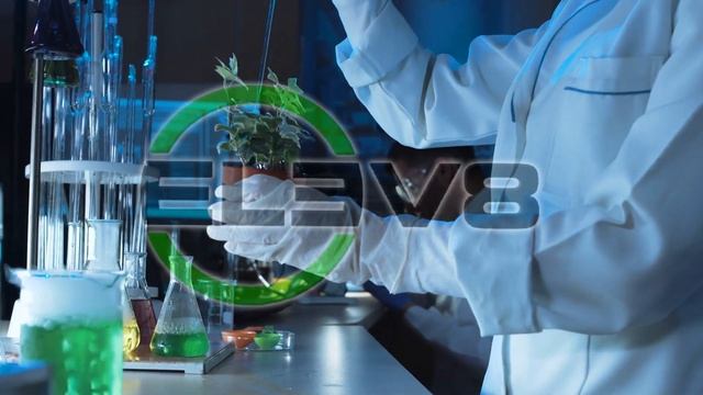 ELEV8 Product Overview | Increases Energy Focus Mental Clarity Improve Mood Memory Immune .bEpic.co смотреть онлайн