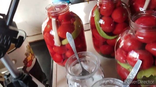 МАРИНОВАННЫЕ ПОМИДОРЫ, ТОЛЬКО ТАК И БОЛЬШЕ РЕЦЕПТЫ НЕ ВОСПРИНИМАЮ🍅🍅🍅