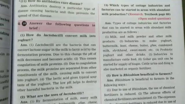 8. Useful and Harmful Microbes / 9th Science Digest Notes. смотреть онлайн