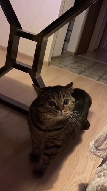 Простое решение долгов, ипотеки и кредита!