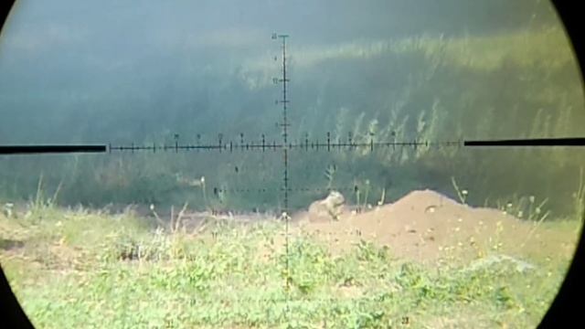 FX Dynamic + FX Panthera .30 Cal Coyote Hunting - PLUS Tree Squirrel Down!!