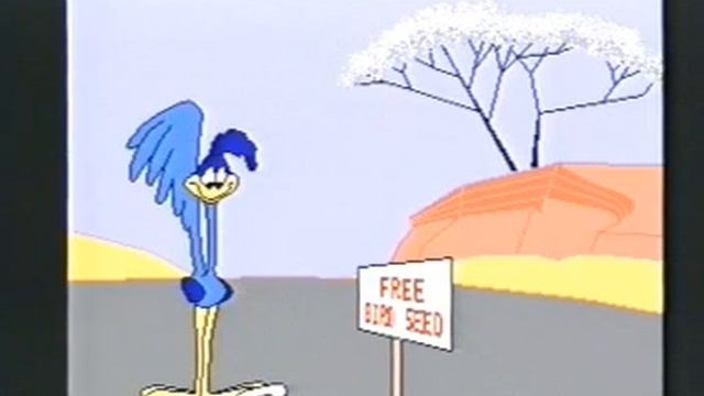 Wile E Coyote Revenge смотреть онлайн