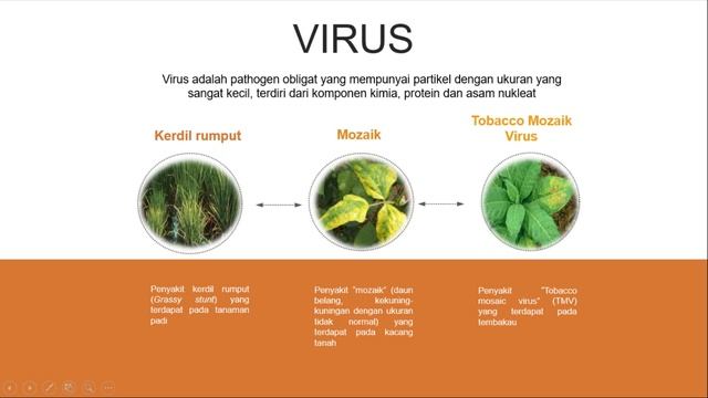 PENYEBAB PENYAKIT DAN GEJALA PENYAKIT TUMBUHAN - DPT ILMU TANAH KELAS B