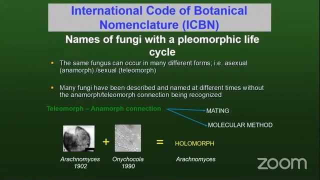 [MYCOLOGY BASICS] Dual Nomenclature of Fungi смотреть онлайн