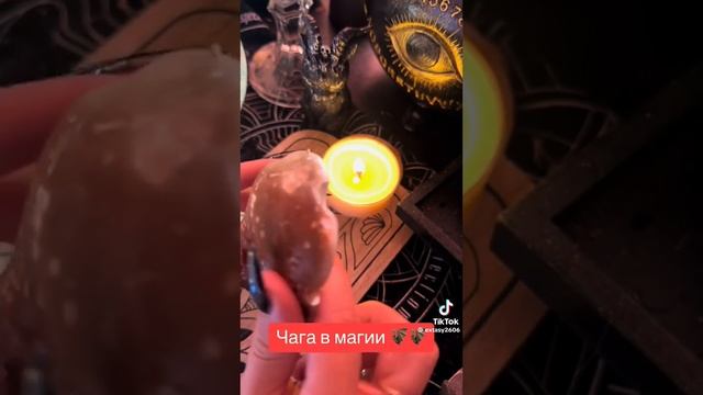 гриб чага в магии