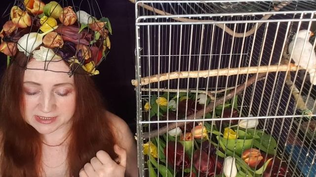 Кенгуру смотреть онлайн