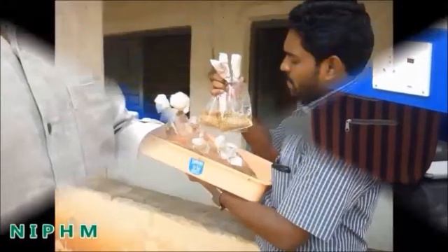 Biocontrol Biopesticides - Trichoderma (Hindi) - NIPHM смотреть онлайн