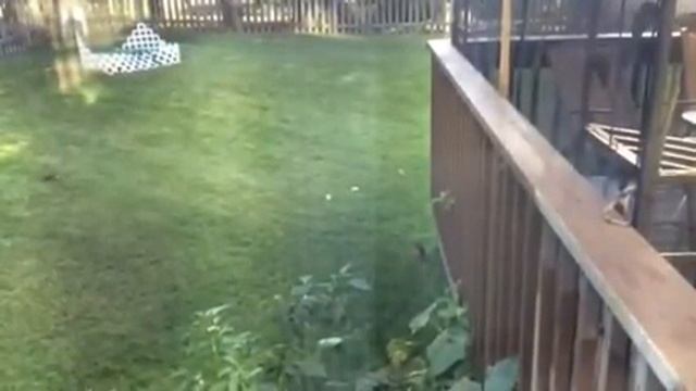 Бурундук 3 смотреть онлайн