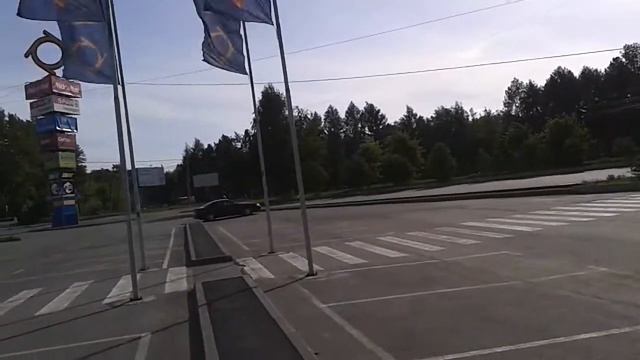 Мустанг гарцует