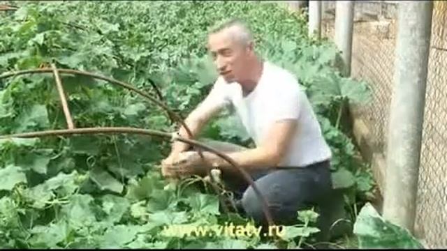 +100500 - Сладенький смотреть онлайн