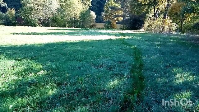 391Прогулка🍁🍂 и снова грибы 👌 смотреть онлайн