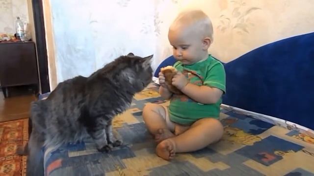 Кот и малышь хавают булочку)) смотреть онлайн
