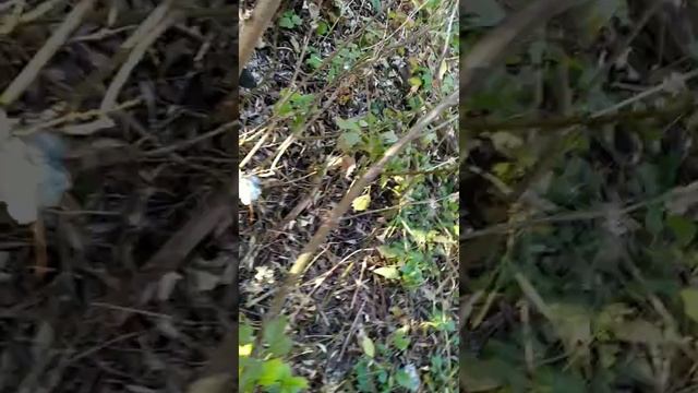 Скоро снег. Последний теплый день ☀